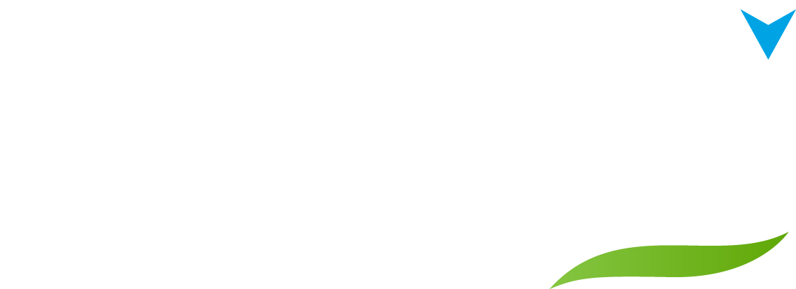 Orbis foam